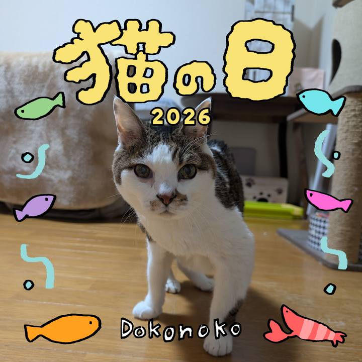 1710df0e 4c02 41c8 b327 24ec8288b285 1771791841584
