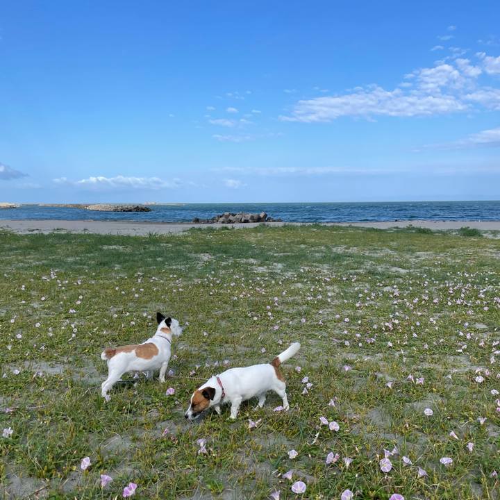 1710fe92 6589 4a8e 9461 f7d5fefacf3b 1685834385957