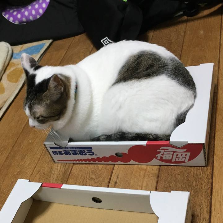 17110a65 6bff 4222 8d13 12914c90b01b 1518669865222