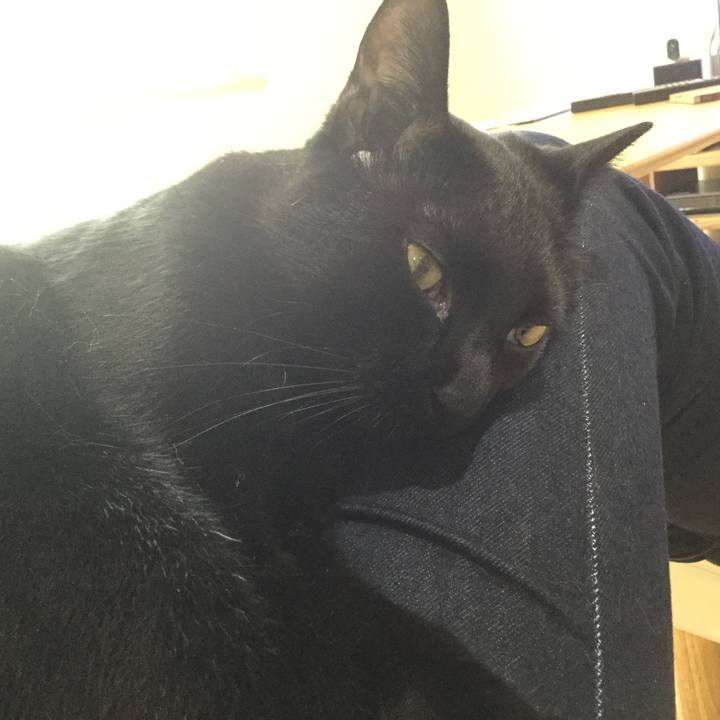 1711117f 2f99 4cc0 ace4 df9cade0808f 1528760103343