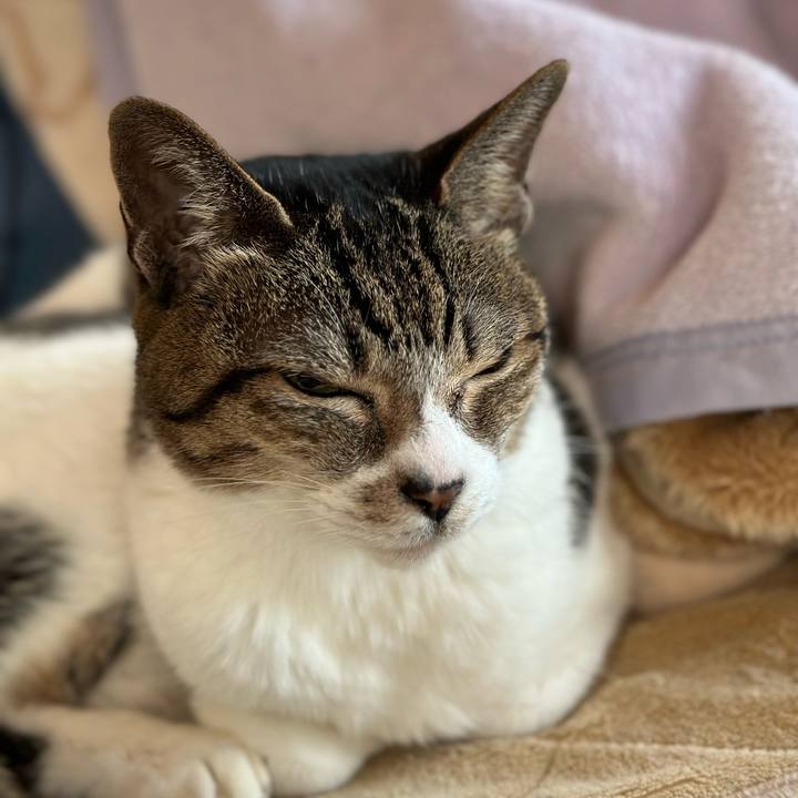 17113669 26b4 411d 9384 d7966bcc17cf 1674008624564