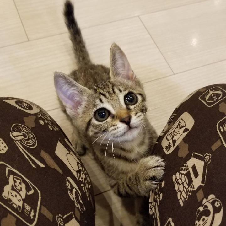 17115de9 31a9 40ac a9c8 69978d1ef8ec 1536570290922