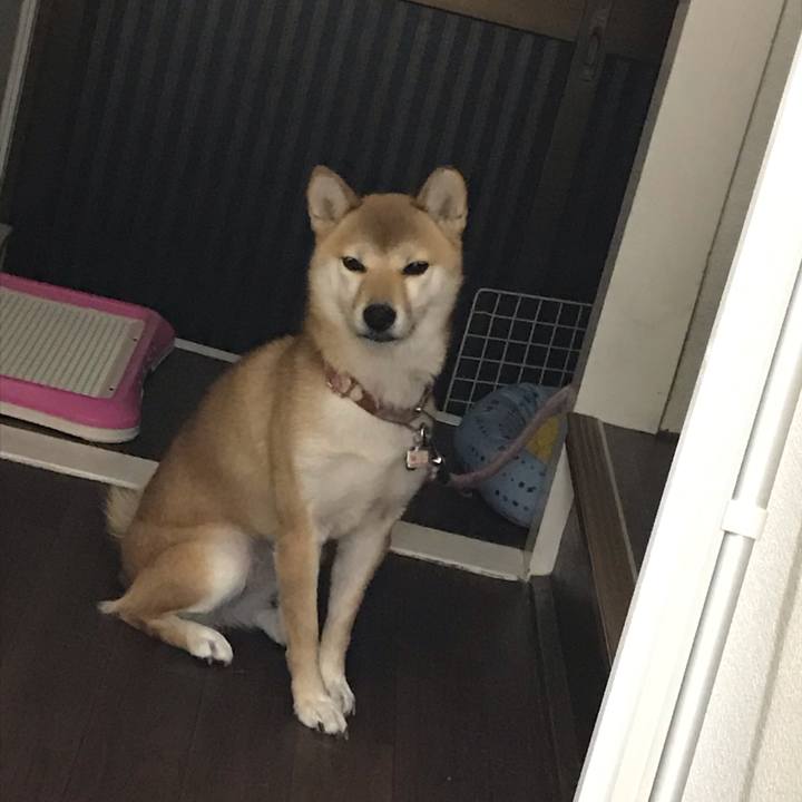 171173ae 3c5c 49f1 b503 e92c75210b9c 1545881531431