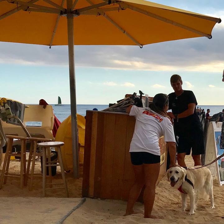 17117d2f 8236 4f80 ab38 294bd3a2d4e1 1551252738749