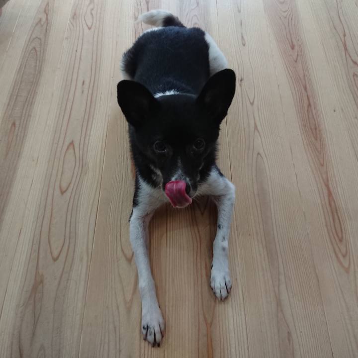 17121782 10f5 4db5 8ceb 3cdea6cbd4ba 1597275775076