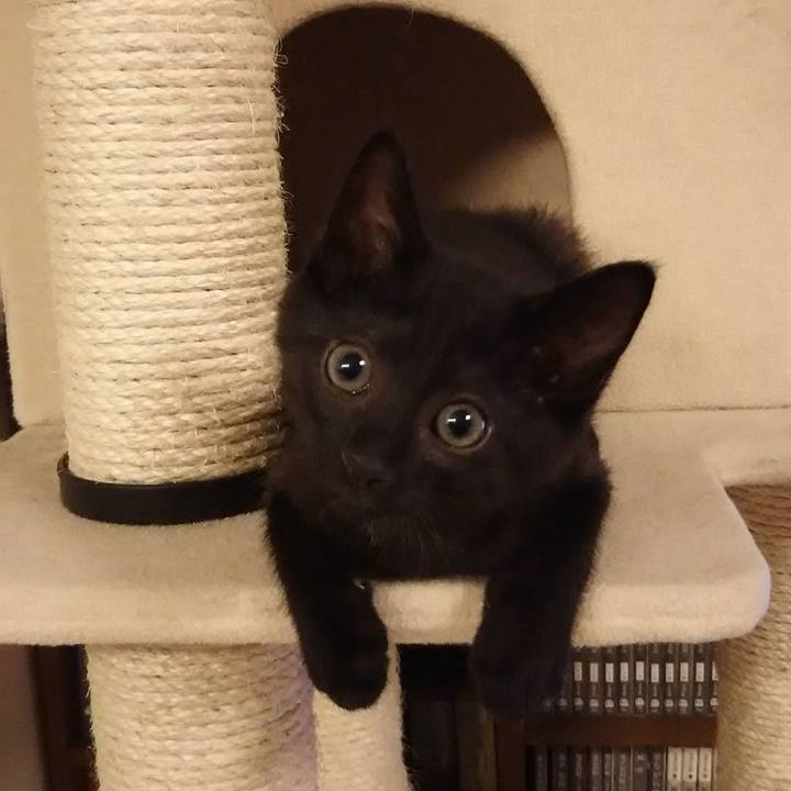 171248f8 61bc 4c64 a7f8 d6dc0b2a4b57 1597659994377