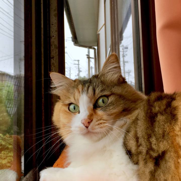 1712b8b2 2f6e 40b6 bccc 60a5f3d67868 1564037528057