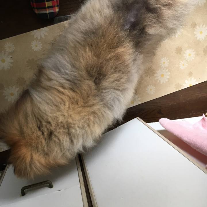 1712c983 0428 4e74 9f90 0c525decf689 1557907056523