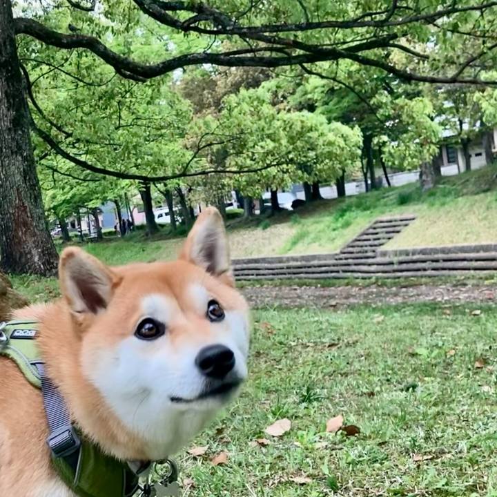 1712cc39 f5d7 43e4 8019 adda33c9a42b 1651450781391