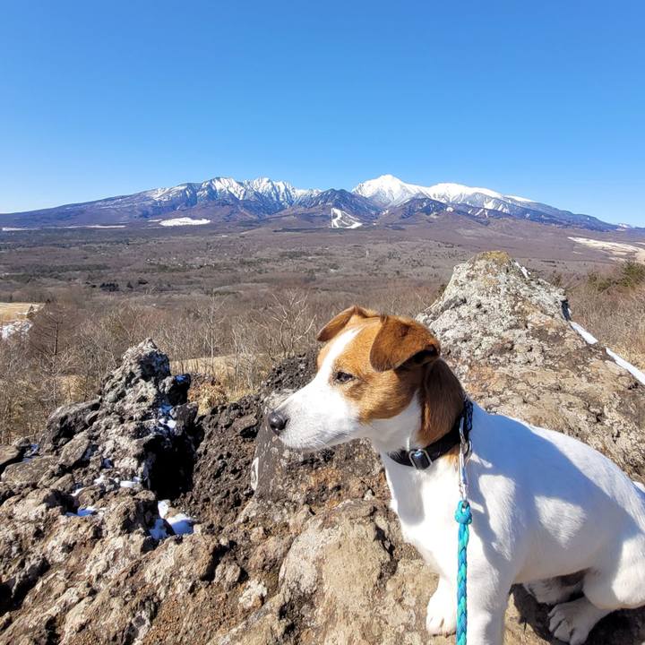 1712d93b c01b 4df5 aeb7 db556bbbbb2f 1770032566236