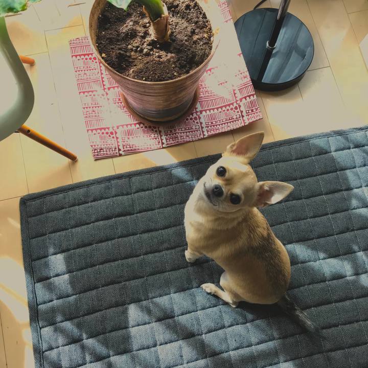 1712e767 30ea 440b a8cc d696e99e0ad3 1540084531423