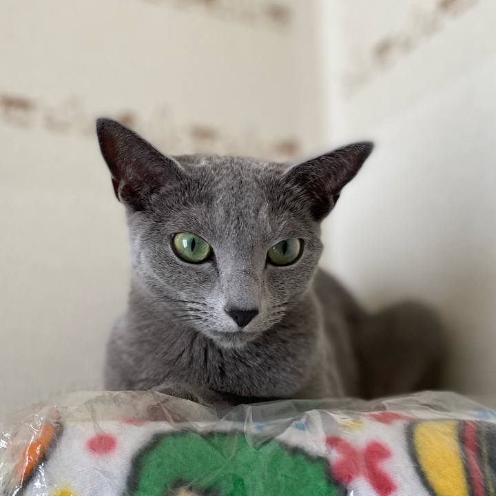 17130a1b d3cd 4629 b27f 43db40d12c08 1660106021201