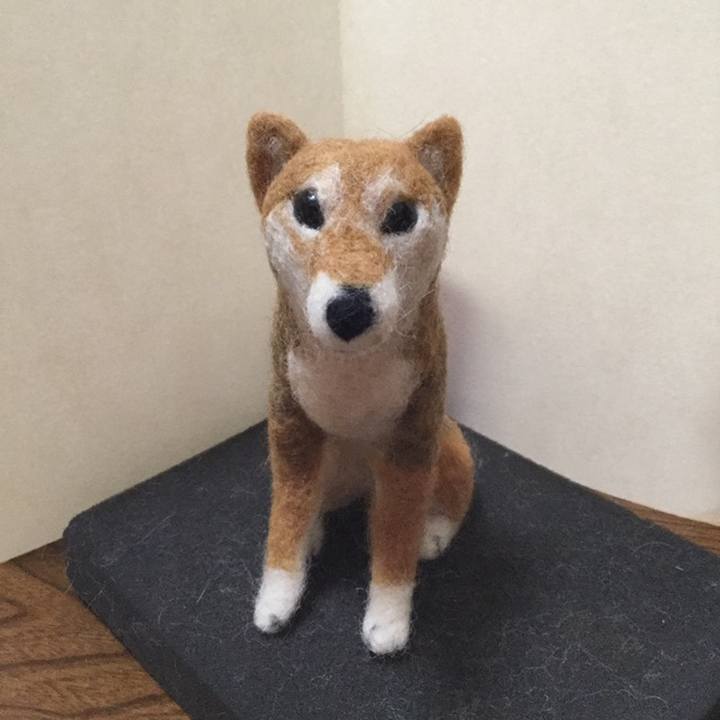 17130dfe 1dd6 44e6 9d31 0e61479cb267 1558517711896