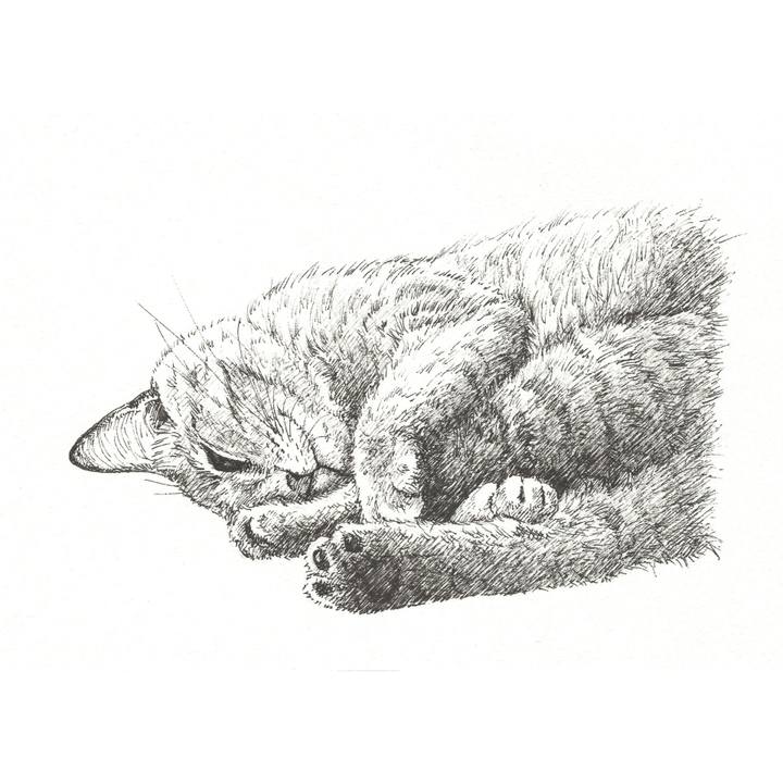 171342ec 01f2 4886 ac51 3bb79b690c92 1561124674549