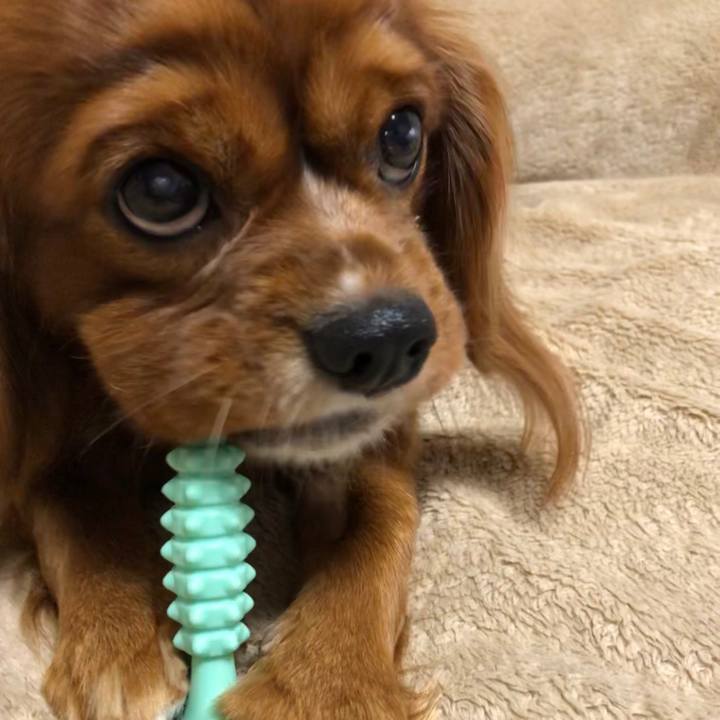 17134610 adf2 46a5 9218 d2422daac4fe 1578349046551