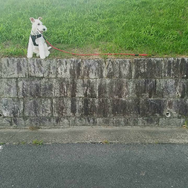 17135bcf 549b 442e ad47 2fafabc8725f 1568626447216