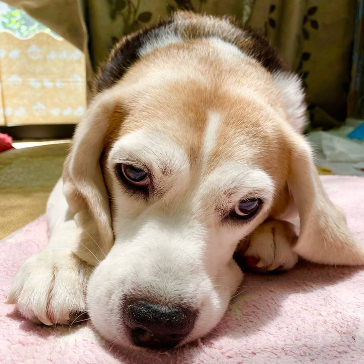 17136f1a 0ca9 4541 9d9e b04fa5b8a73a 1627010705128