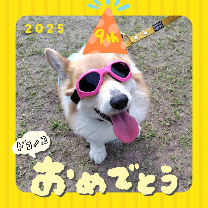 17138a74 7b1f 46f7 9e5e 5aa3fdcc12e8 1749294529536