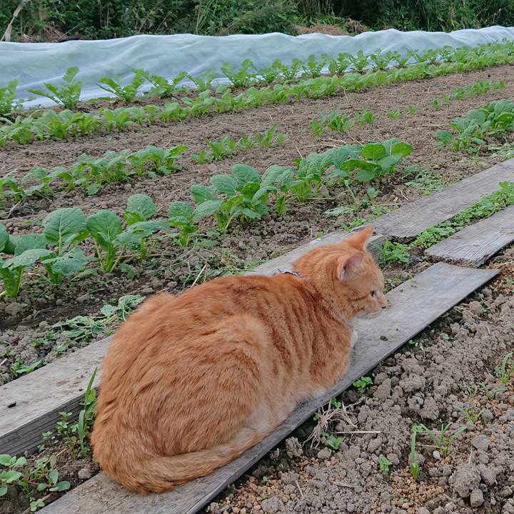 17139bb2 6a63 4e9f 847b 33b75161740b 1568795473507