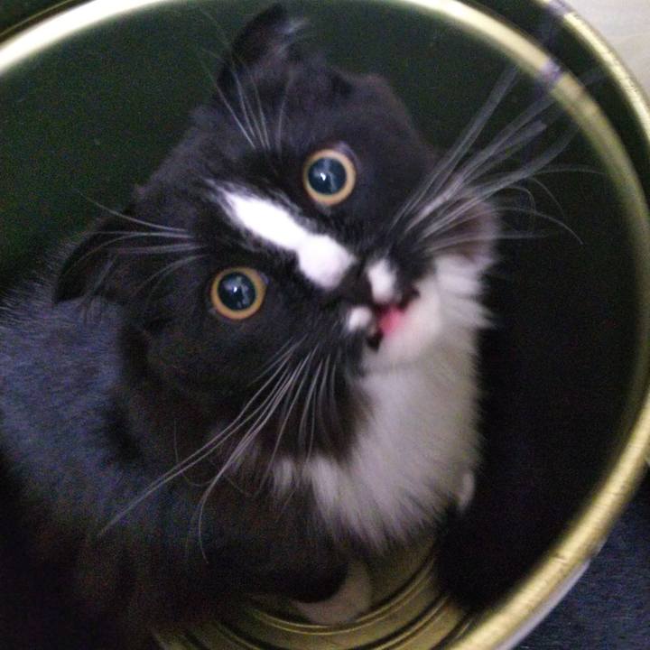 17139c28 ce0c 49a2 99bc f384b7443b3d 1647340082133