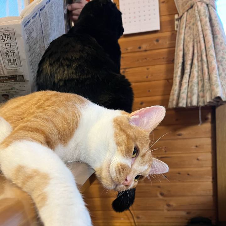 1713c354 64ab 44a6 b27a 713a8ec9a6bd 1678396771552