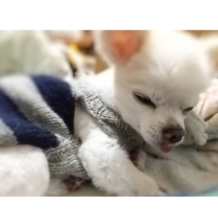 1713c71b 32e6 42ab b7b5 23ccc790990c 1670755327630