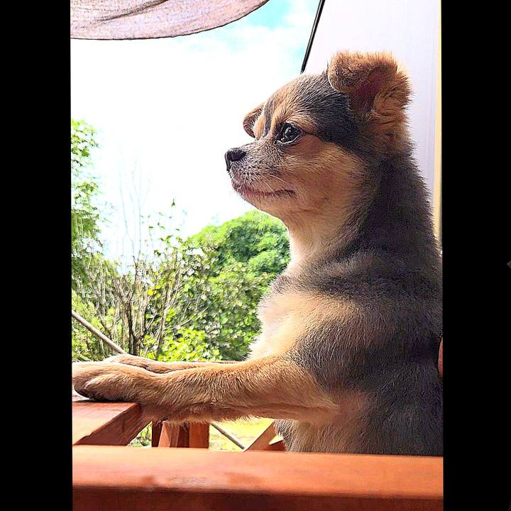 1713ea6f 3e6e 4e7a adfe 678568daa37c 1758880388491