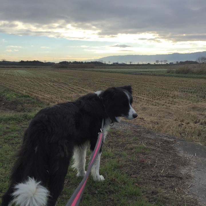 1713f55d 97fa 4579 a875 0a83a533ca00 1544832437592