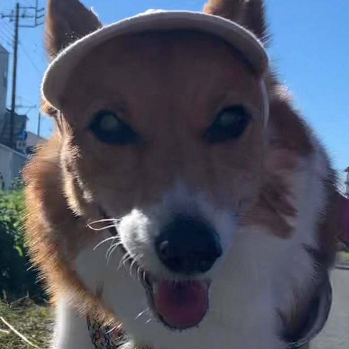 1713fbf7 79e1 45c9 b576 2d78eebfecd3 1669523716218