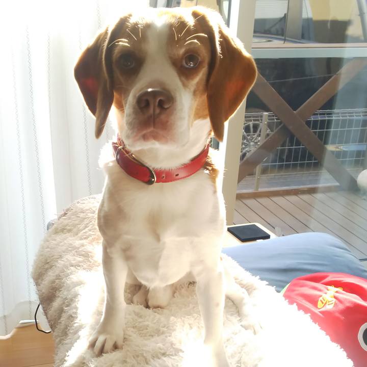 1714064a 23ff 4679 82f3 c79db0ce85d2 1638245018325