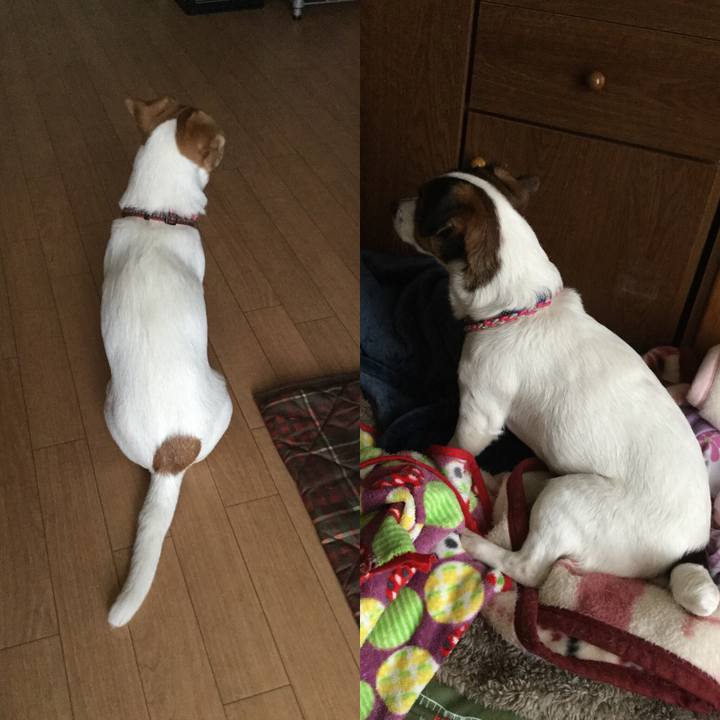 171412ed f007 441d b8cc b650056f27f3 1516773171210