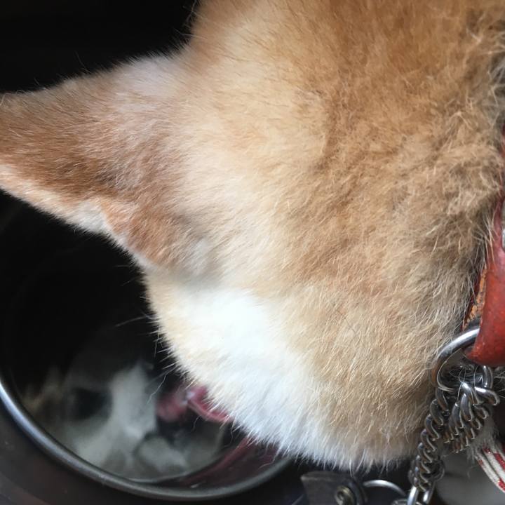 17144e2b 4df9 43b9 9a13 edd76e03b7af 1527293676786