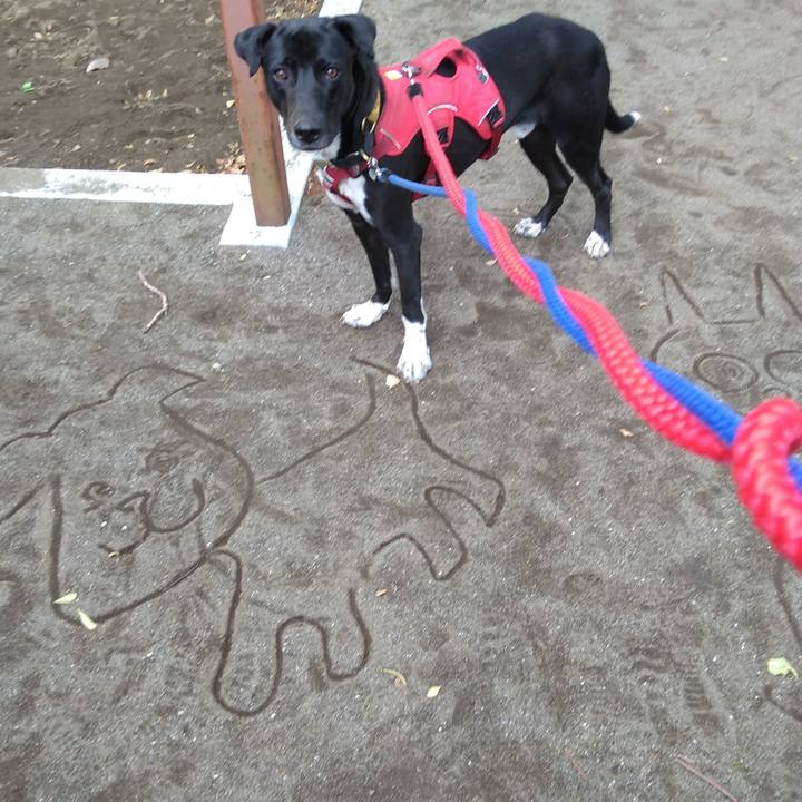 1714518d 0a1c 4902 bc98 82333dc9d323 1589763119447