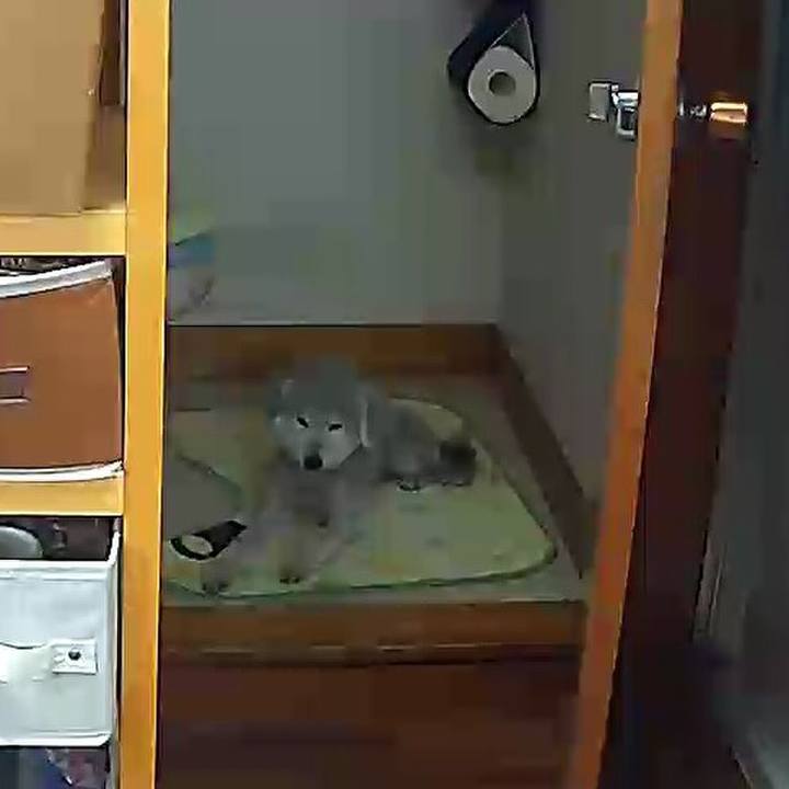 17148966 ba4f 4f0a a677 055fc8ec3db5 1622357939466