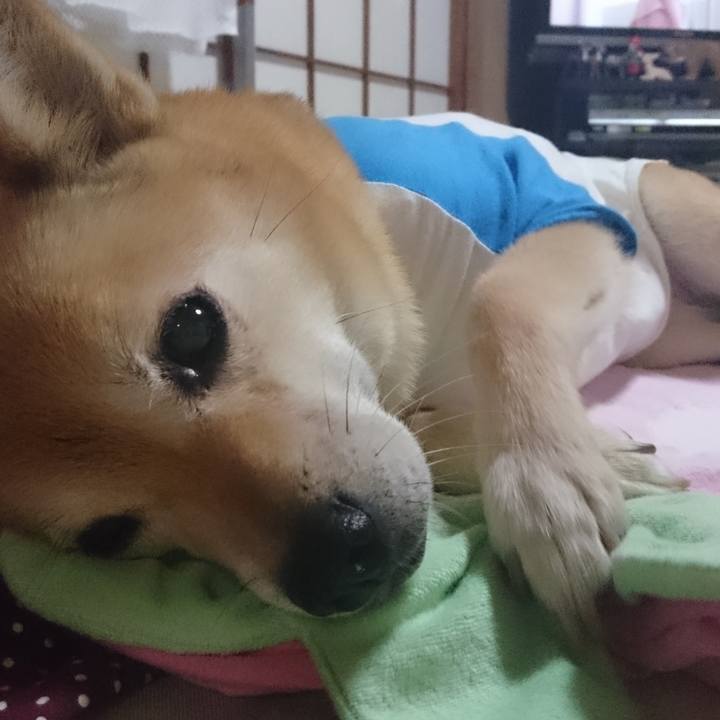 1714925e 296d 47b3 8fef ffa7b9253e4b 1628928315900