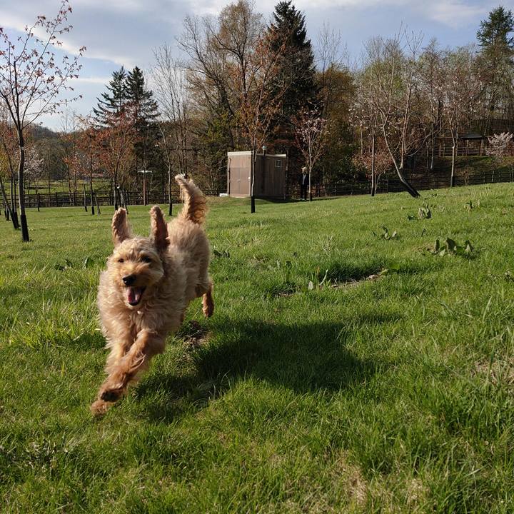 1714b727 c993 4a46 a98f cba569de3b8f 1588983082313