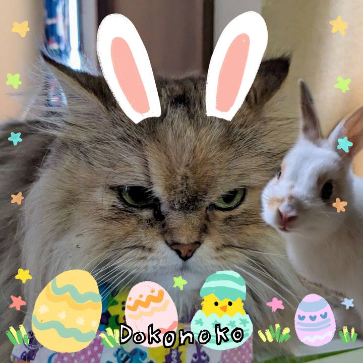 1714e625 91ca 4776 95c2 e8f4e3141faa 1712716559344