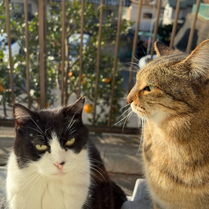 1714fdaa 0446 4e29 b9dd 18f2bedcbdca 1768446227979