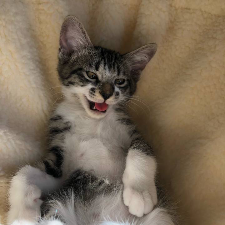 17150ae3 da19 4a8e 9c71 937292d1c31b 1637226114332