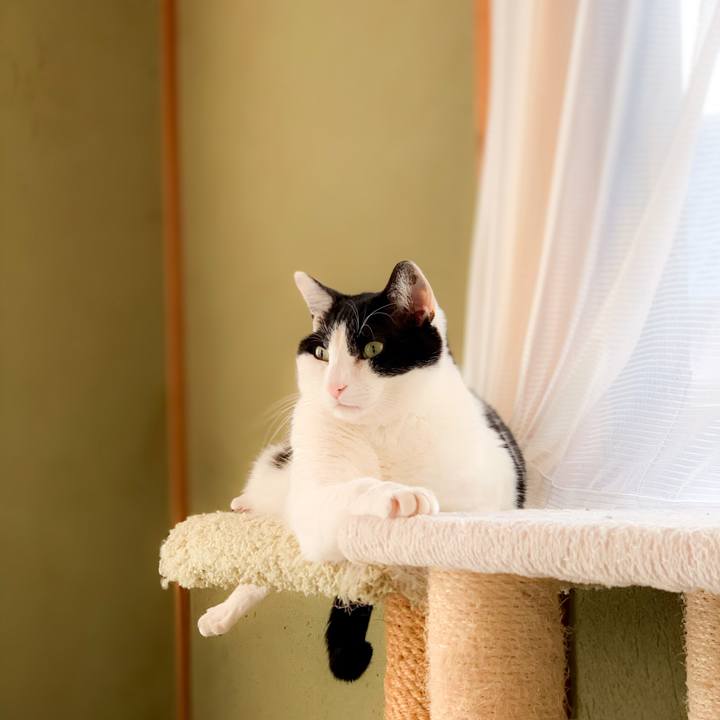 171514a9 504d 41c9 9c0f 3db4807708cd 1590628221826