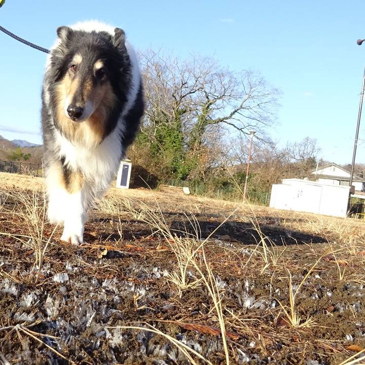 17152e43 2edd 4da0 a59e e83df2126b98 1578148851389