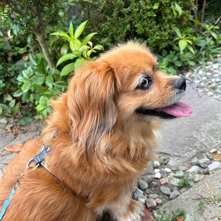 171535f0 a4a0 401f 9d37 b0100148b4f3 1723931873903