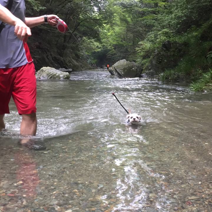 17155167 cc03 44ed af11 8a8175fcd38e 1534078002892