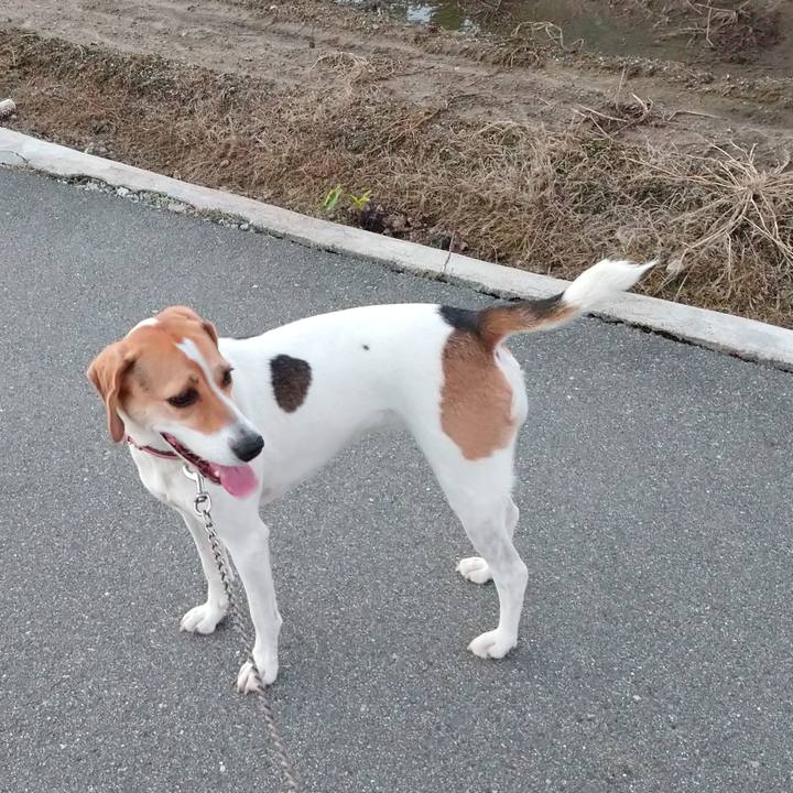 17156d28 d35e 47cd b8e8 11810d6aa7e9 1602492459334