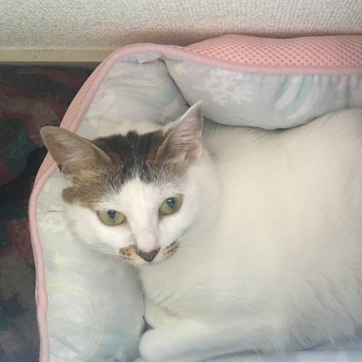 17158193 28c8 41b8 988a b9280e5ba3a2 1531081782331