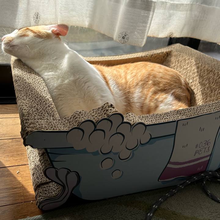 1715b36b 4233 462c 874a 0704a6a67e7d 1708045881492