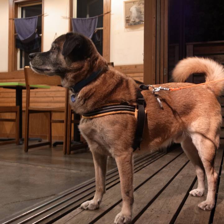 1715b513 7ddf 4a9a b986 98389314542d 1582885830848