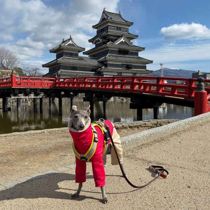 1715c6c2 0904 4cb0 b305 48ceffe372f0 1774080760915