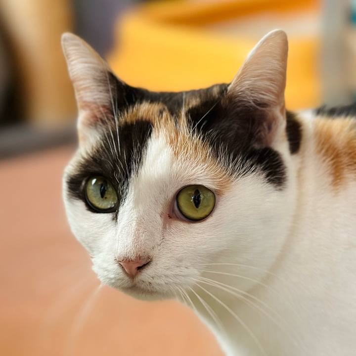 1715c941 4296 43d0 87ec e7310b61d72c 1701482157236