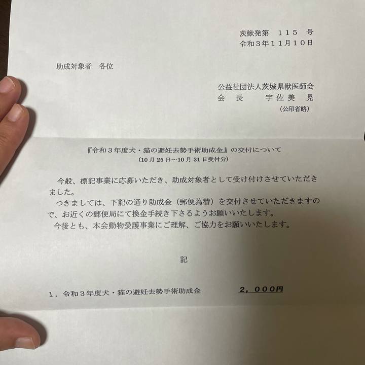 1715ebdb 0da6 4be7 ba59 d047d652dddc 1636630462112